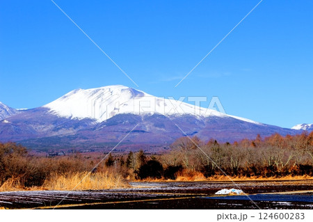 2月の冠雪の浅間山 信州の山々 信州の自然 2月の冠雪の浅間山 信州の山々 信州の自然 124600283