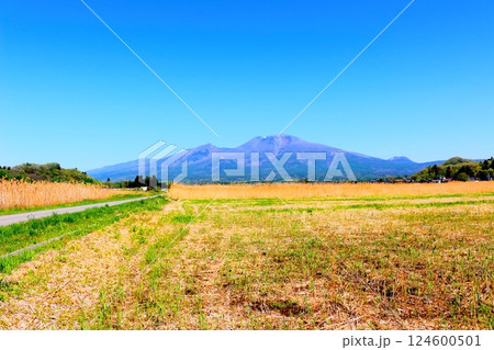5月の浅間山　　　信州の山々　　　信州の自然 124600501