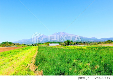 5月の浅間山　　　信州の山々　　　信州の自然 124600535