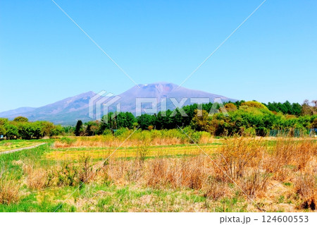 5月の浅間山　　　信州の山々　　　信州の自然 124600553