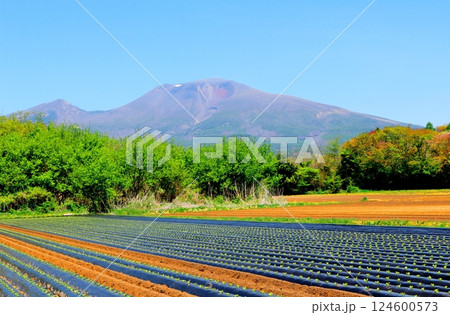 5月の浅間山　　　信州の山々　　　信州の自然 124600573