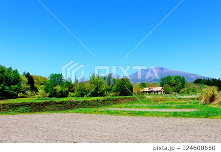 5月の浅間山　　　信州の山々　　　信州の自然 124600680