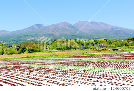 5月の浅間山　　　信州の山々　　　信州の自然 124600708