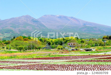5月の浅間山   信州の山々   信州の自然 5月の浅間山   信州の山々   信州の自然 124600709