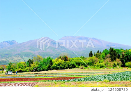 5月の浅間山　　　信州の山々　　　信州の自然 124600720