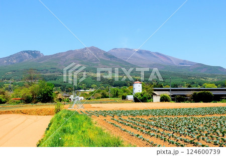 5月の浅間山　　　信州の山々　　　信州の自然 124600739