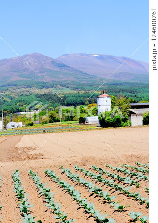 5月の浅間山 信州の山々 信州の自然 5月の浅間山 信州の山々 信州の自然 124600761