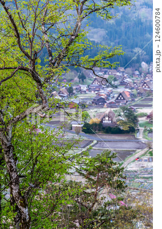 世界遺産　白川郷（白川村）　夜明け前の展望台からの田園風景（田植え前）　5月 124600784