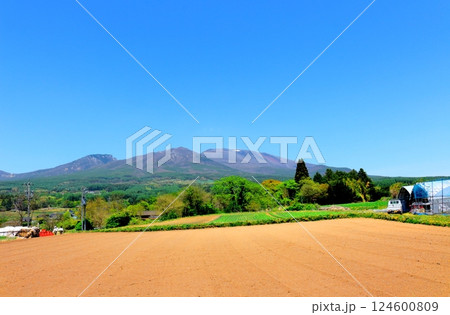 5月の浅間山　　　信州の山々　　　信州の自然 124600809