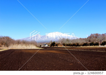 3月の冠雪の浅間山　　　信州の山々　　　信州の自然 124600957