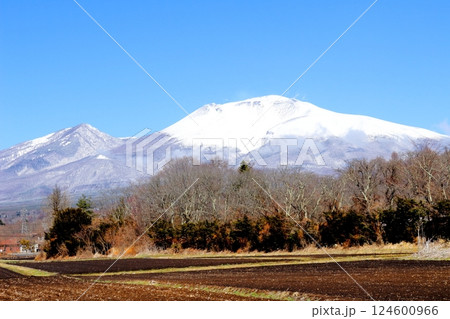 3月の冠雪の浅間山 信州の山々 信州の自然 3月の冠雪の浅間山 信州の山々 信州の自然 124600966