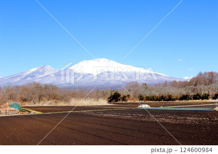 3月の冠雪の浅間山 信州の山々 信州の自然 3月の冠雪の浅間山 信州の山々 信州の自然 124600984