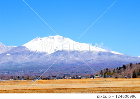 3月の冠雪の浅間山 信州の山々 信州の自然 3月の冠雪の浅間山 信州の山々 信州の自然 124600996