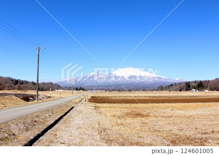 3月の冠雪の浅間山 信州の山々 信州の自然 3月の冠雪の浅間山 信州の山々 信州の自然 124601005