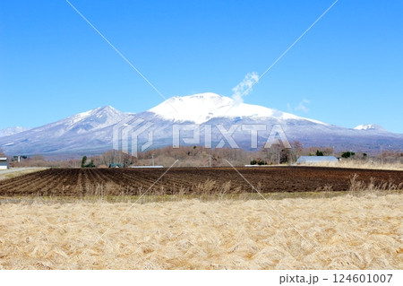 3月の冠雪の浅間山 信州の山々 信州の自然 3月の冠雪の浅間山 信州の山々 信州の自然 124601007