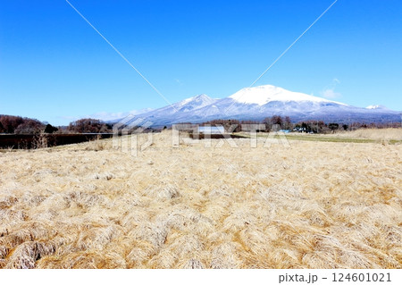 3月の冠雪の浅間山 信州の山々 信州の自然 3月の冠雪の浅間山 信州の山々 信州の自然 124601021