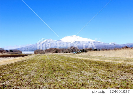 3月の冠雪の浅間山　　　信州の山々　　　信州の自然 124601027