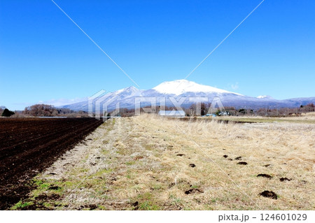 3月の冠雪の浅間山 信州の山々 信州の自然 3月の冠雪の浅間山 信州の山々 信州の自然 124601029