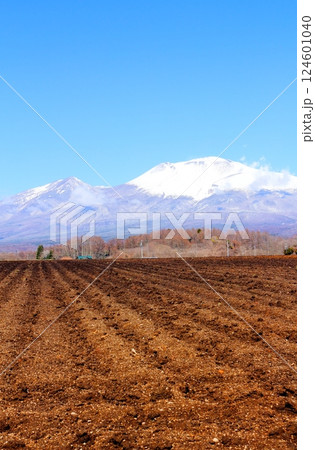 3月の冠雪の浅間山 信州の山々 信州の自然 3月の冠雪の浅間山 信州の山々 信州の自然 124601040