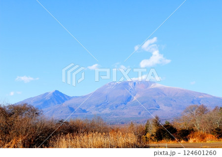 12月の浅間山　　　信州の山々　　　信州の自然 124601260