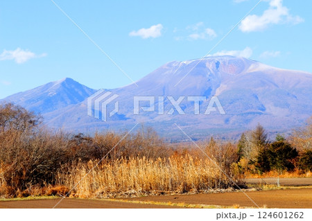 12月の浅間山　　　信州の山々　　　信州の自然 124601262