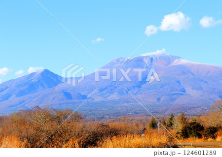 12月の浅間山 信州の山々 信州の自然 12月の浅間山 信州の山々 信州の自然 124601289