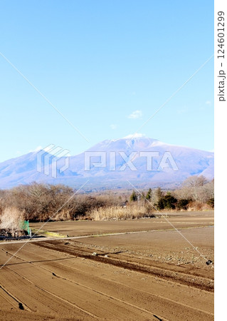 12月の浅間山 信州の山々 信州の自然 12月の浅間山 信州の山々 信州の自然 124601299