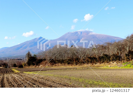 12月の浅間山　　　信州の山々　　　信州の自然 124601317