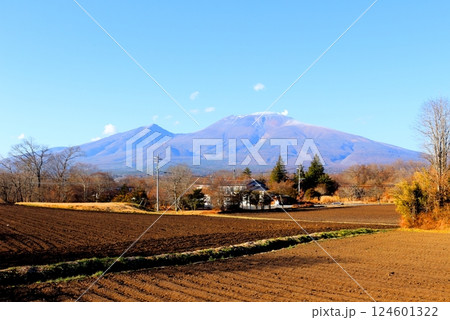 12月の浅間山 信州の山々 信州の自然 12月の浅間山 信州の山々 信州の自然 124601322