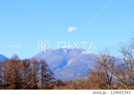 12月の浅間山　　　信州の山々　　　信州の自然 124601343