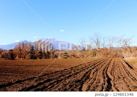 12月の浅間山 信州の山々 信州の自然 12月の浅間山 信州の山々 信州の自然 124601346