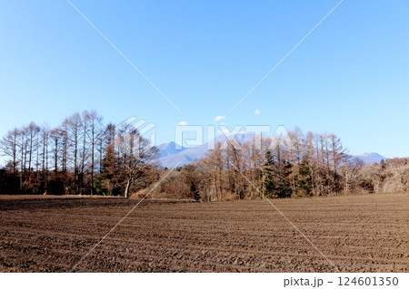 12月の浅間山 信州の山々 信州の自然 12月の浅間山 信州の山々 信州の自然 124601350