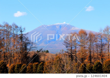 12月の浅間山　　　信州の山々　　　信州の自然 124601404
