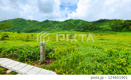 夏の火打山・妙高山登山（黒沢池） 124601901