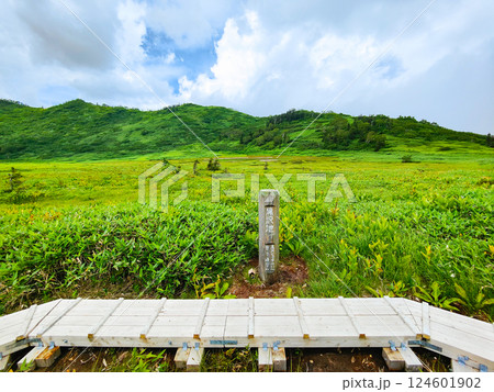 夏の火打山・妙高山登山（黒沢池） 124601902