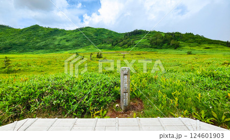 夏の火打山・妙高山登山(黒沢池) 夏の火打山・妙高山登山(黒沢池) 124601903