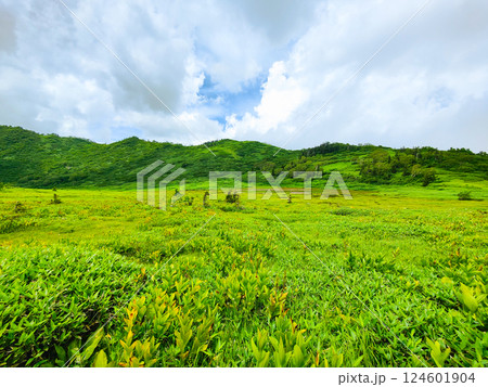 夏の火打山・妙高山登山(黒沢池) 夏の火打山・妙高山登山(黒沢池) 124601904