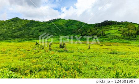 夏の火打山・妙高山登山(黒沢池) 夏の火打山・妙高山登山(黒沢池) 124601907