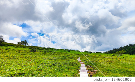 夏の火打山・妙高山登山（黒沢池～富士見平分岐） 124601909