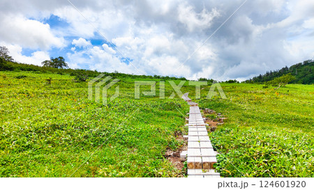 夏の火打山・妙高山登山（黒沢池～富士見平分岐） 124601920