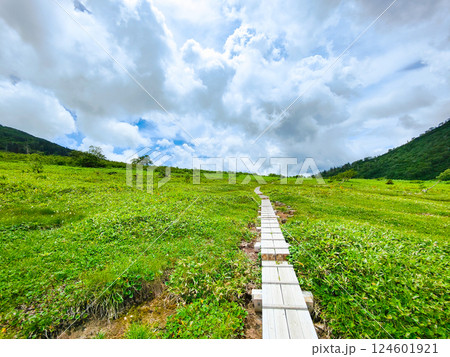 夏の火打山・妙高山登山（黒沢池～富士見平分岐） 124601921