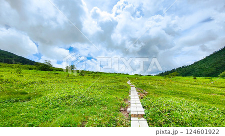 夏の火打山・妙高山登山（黒沢池～富士見平分岐） 124601922