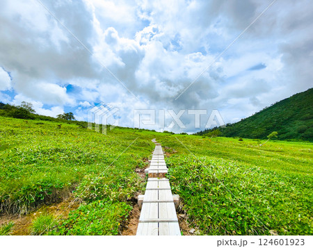 夏の火打山・妙高山登山（黒沢池～富士見平分岐） 124601923
