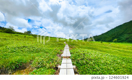 夏の火打山・妙高山登山(黒沢池~富士見平分岐) 夏の火打山・妙高山登山(黒沢池~富士見平分岐) 124601924