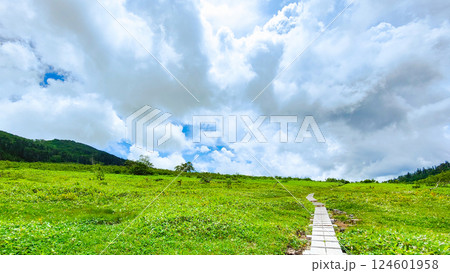 夏の火打山・妙高山登山（黒沢池～富士見平分岐） 124601958