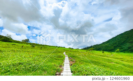 夏の火打山・妙高山登山(黒沢池~富士見平分岐) 夏の火打山・妙高山登山(黒沢池~富士見平分岐) 124601960
