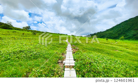 夏の火打山・妙高山登山(黒沢池~富士見平分岐) 夏の火打山・妙高山登山(黒沢池~富士見平分岐) 124601961