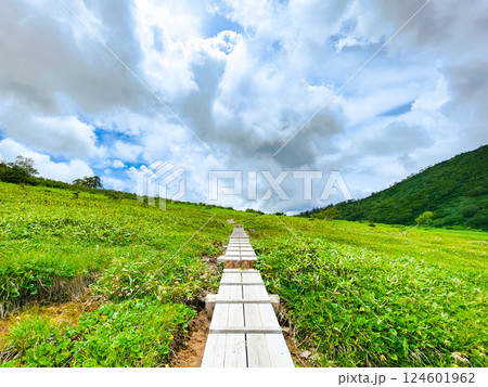 夏の火打山・妙高山登山（黒沢池～富士見平分岐） 124601962