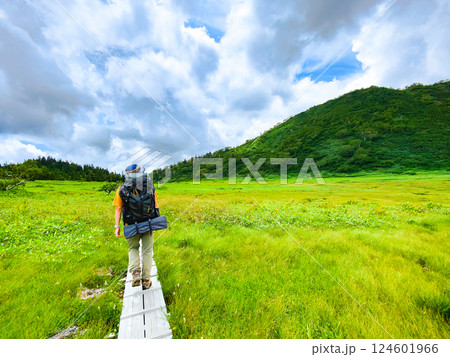 夏の火打山・妙高山登山(黒沢池~富士見平分岐) 夏の火打山・妙高山登山(黒沢池~富士見平分岐) 124601966