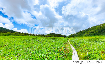 夏の火打山・妙高山登山（黒沢池～富士見平分岐） 124601974